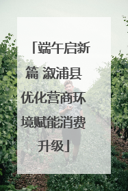 端午启新篇 溆浦县优化营商环境赋能消费升级