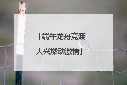端午龙舟竞渡 大兴燃动激情