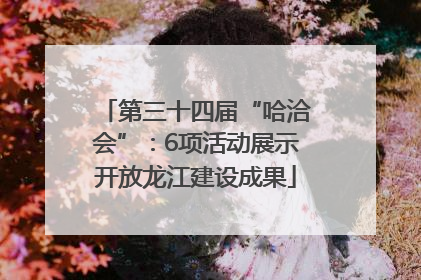 第三十四届“哈洽会”：6项活动展示开放龙江建设成果