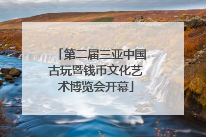 第二届三亚中国古玩暨钱币文化艺术博览会开幕