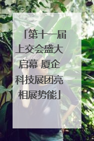 第十一届上交会盛大启幕 厦企科技展团亮相展势能