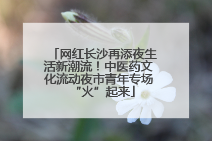 网红长沙再添夜生活新潮流！中医药文化流动夜市青年专场“火”起来