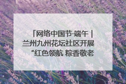 网络中国节·端午｜兰州九州花坛社区开展“红色领航 粽香敬老”端午主题活动