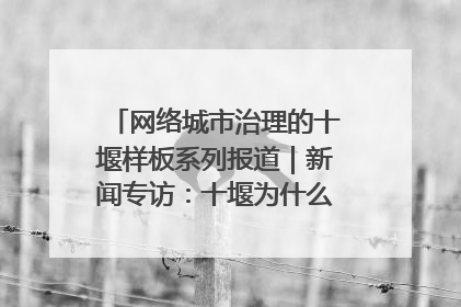 网络城市治理的十堰样板系列报道｜新闻专访：十堰为什么成为“黑马型”城市治理网络维度典型