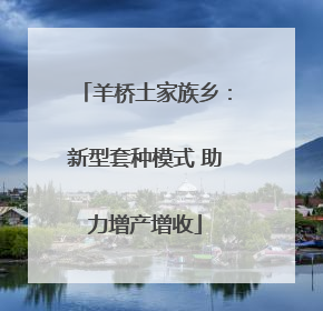 羊桥土家族乡：新型套种模式 助力增产增收