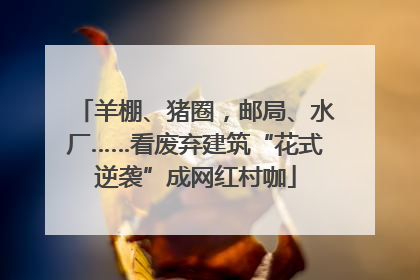 羊棚、猪圈，邮局、水厂……看废弃建筑“花式逆袭”成网红村咖