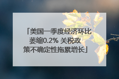 美国一季度经济环比萎缩0.2% 关税政策不确定性拖累增长