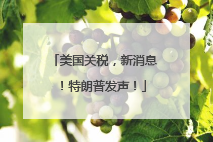美国关税，新消息！特朗普发声！