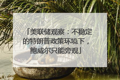 美联储观察：不稳定的特朗普政策环境下，鲍威尔只能旁观