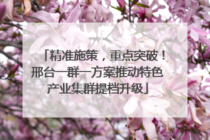 精准施策，重点突破！邢台一群一方案推动特色产业集群提档升级