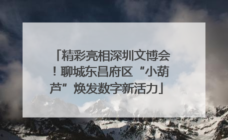 精彩亮相深圳文博会！聊城东昌府区“小葫芦”焕发数字新活力