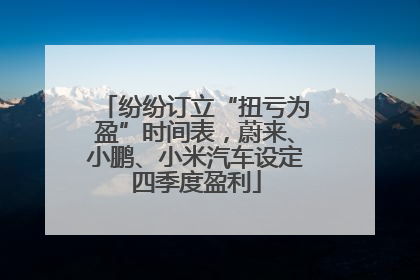 纷纷订立“扭亏为盈”时间表，蔚来、小鹏、小米汽车设定四季度盈利