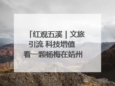 红观五溪｜文旅引流 科技增值 看一颗杨梅在靖州的“商业觉醒”