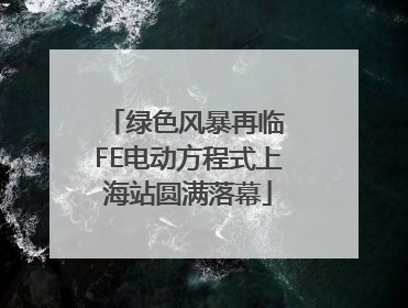 绿色风暴再临 FE电动方程式上海站圆满落幕