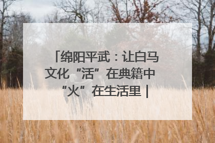 绵阳平武：让白马文化“活”在典籍中 “火”在生活里｜新闻发布最前线