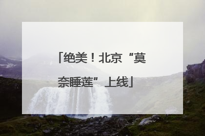 绝美！北京“莫奈睡莲”上线
