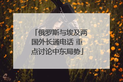 俄罗斯与埃及两国外长通电话 重点讨论中东局势