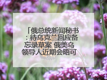 俄总统新闻秘书：待乌克兰回应备忘录草案 俄美乌领导人近期会晤可能性小
