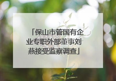 保山市管国有企业专职外部董事刘燕接受监察调查
