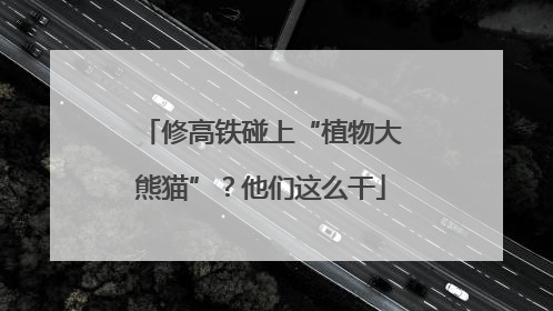 修高铁碰上“植物大熊猫”？他们这么干