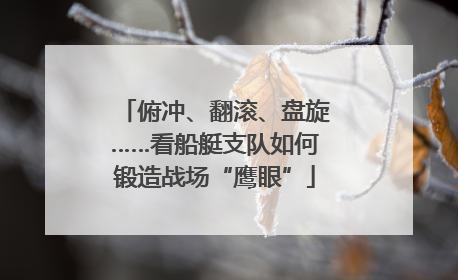 俯冲、翻滚、盘旋……看船艇支队如何锻造战场“鹰眼”