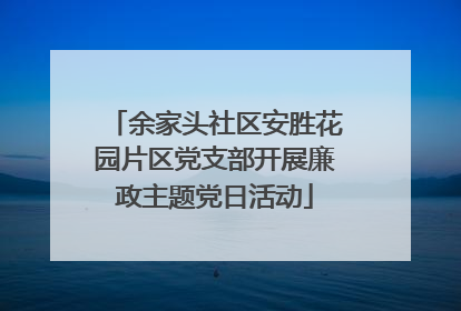 余家头社区安胜花园片区党支部开展廉政主题党日活动