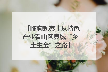 临朐观察丨从特色产业看山区县城“乡土生金”之路