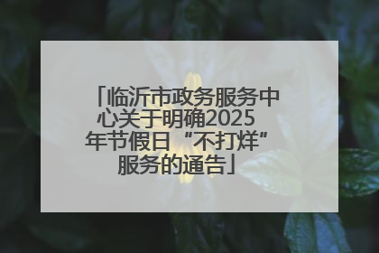 临沂市政务服务中心关于明确2025年节假日“不打烊”服务的通告