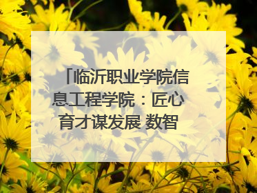 临沂职业学院信息工程学院：匠心育才谋发展 数智赋能谱新篇