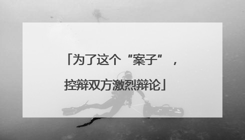 为了这个“案子”，控辩双方激烈辩论