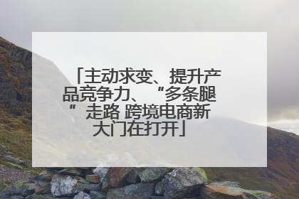 主动求变、提升产品竞争力、“多条腿”走路 跨境电商新大门在打开