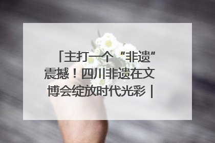 主打一个“非遗”震撼！四川非遗在文博会绽放时代光彩｜文博向“新”