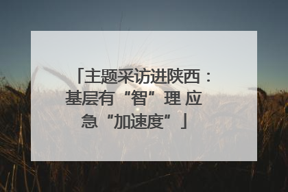 主题采访进陕西：基层有“智”理 应急“加速度”