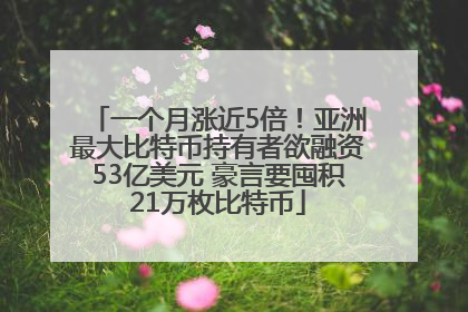 一个月涨近5倍！亚洲最大比特币持有者欲融资53亿美元 豪言要囤积21万枚比特币