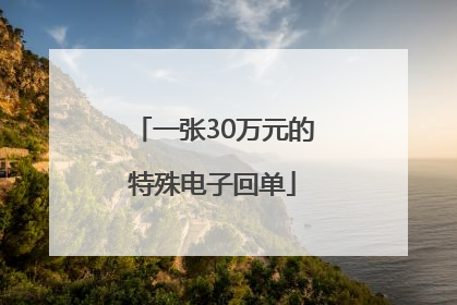 一张30万元的特殊电子回单