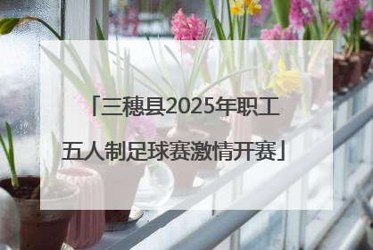 三穗县2025年职工五人制足球赛激情开赛