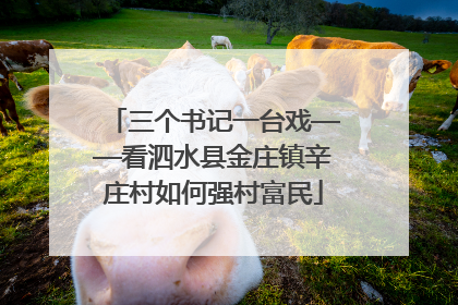 三个书记一台戏——看泗水县金庄镇辛庄村如何强村富民