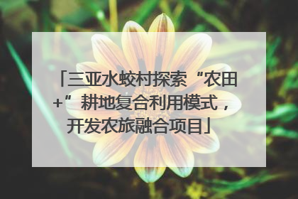 三亚水蛟村探索“农田+”耕地复合利用模式，开发农旅融合项目