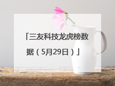 三友科技龙虎榜数据（5月29日）