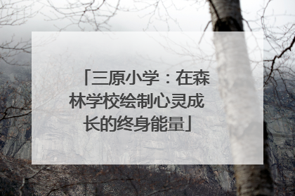 三原小学：在森林学校绘制心灵成长的终身能量
