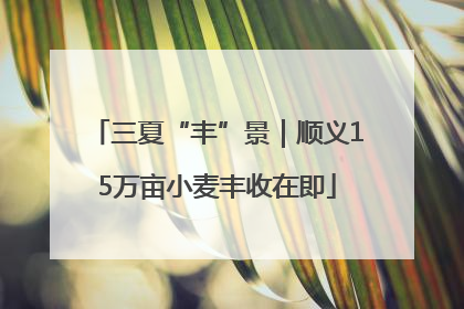 三夏“丰”景｜顺义15万亩小麦丰收在即