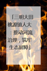三明大田桃源镇人大：推动河流治理，筑牢生态屏障