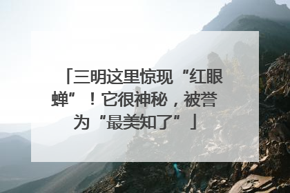 三明这里惊现“红眼蝉”！它很神秘，被誉为“最美知了”