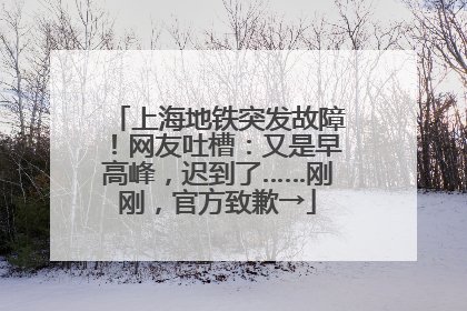 上海地铁突发故障！网友吐槽：又是早高峰，迟到了……刚刚，官方致歉→