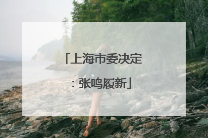 上海市委决定：张鸣履新