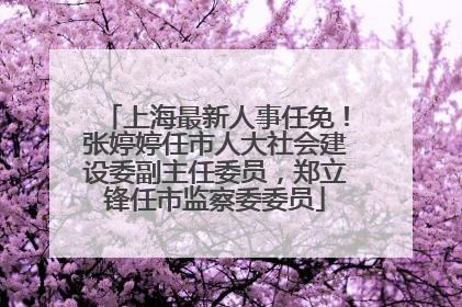 上海最新人事任免！张婷婷任市人大社会建设委副主任委员，郑立锋任市监察委委员
