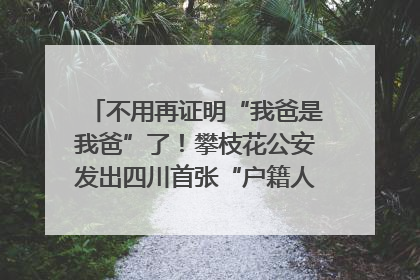不用再证明“我爸是我爸”了！攀枝花公安发出四川首张“户籍人口直系亲属关系谱”