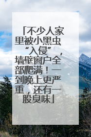 不少人家里被小黑虫“入侵”，墙壁窗户全部爬满！一到晚上更严重，还有一股臭味