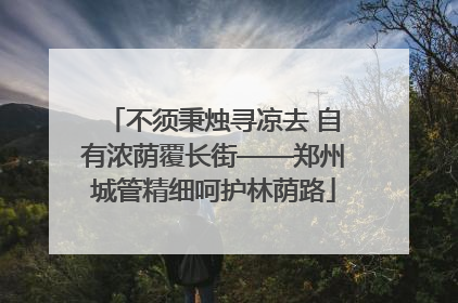 不须秉烛寻凉去 自有浓荫覆长街——郑州城管精细呵护林荫路