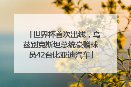 世界杯首次出线，乌兹别克斯坦总统豪赠球员42台比亚迪汽车